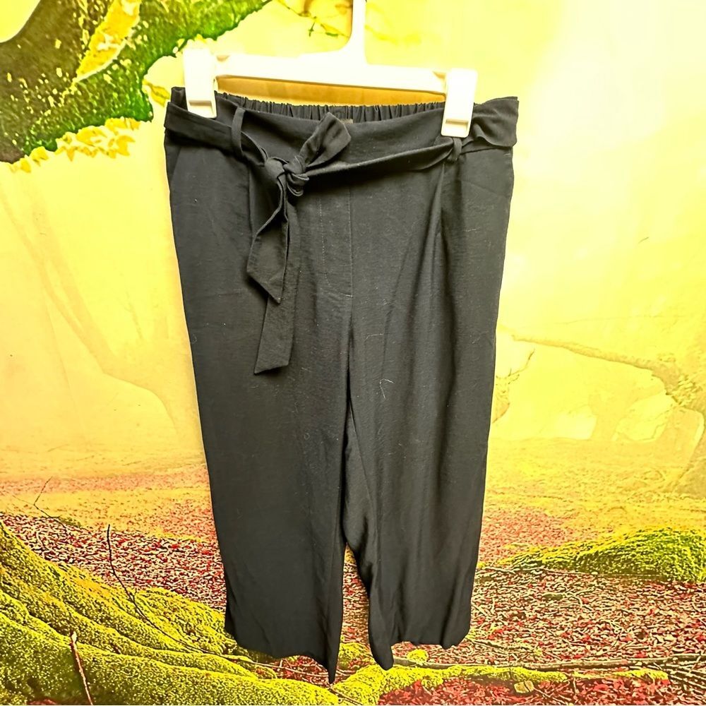 Loft SP Navy petite woman’s pants small loose fitting trousers nwt 🏷️ 358